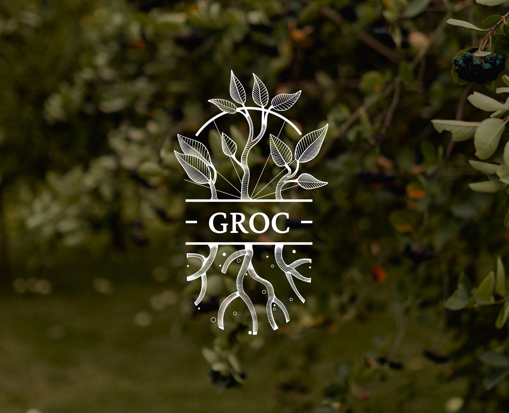 GROC АГРОХОЛДИНГ — Брендинг на Dprofile