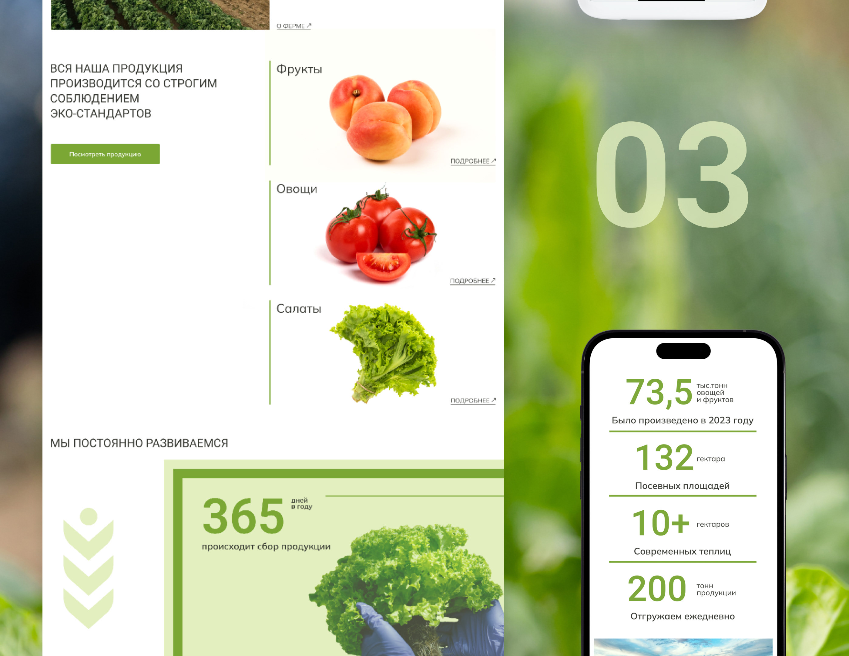 Многостраничный сайт для эко-фермы — Dprofile