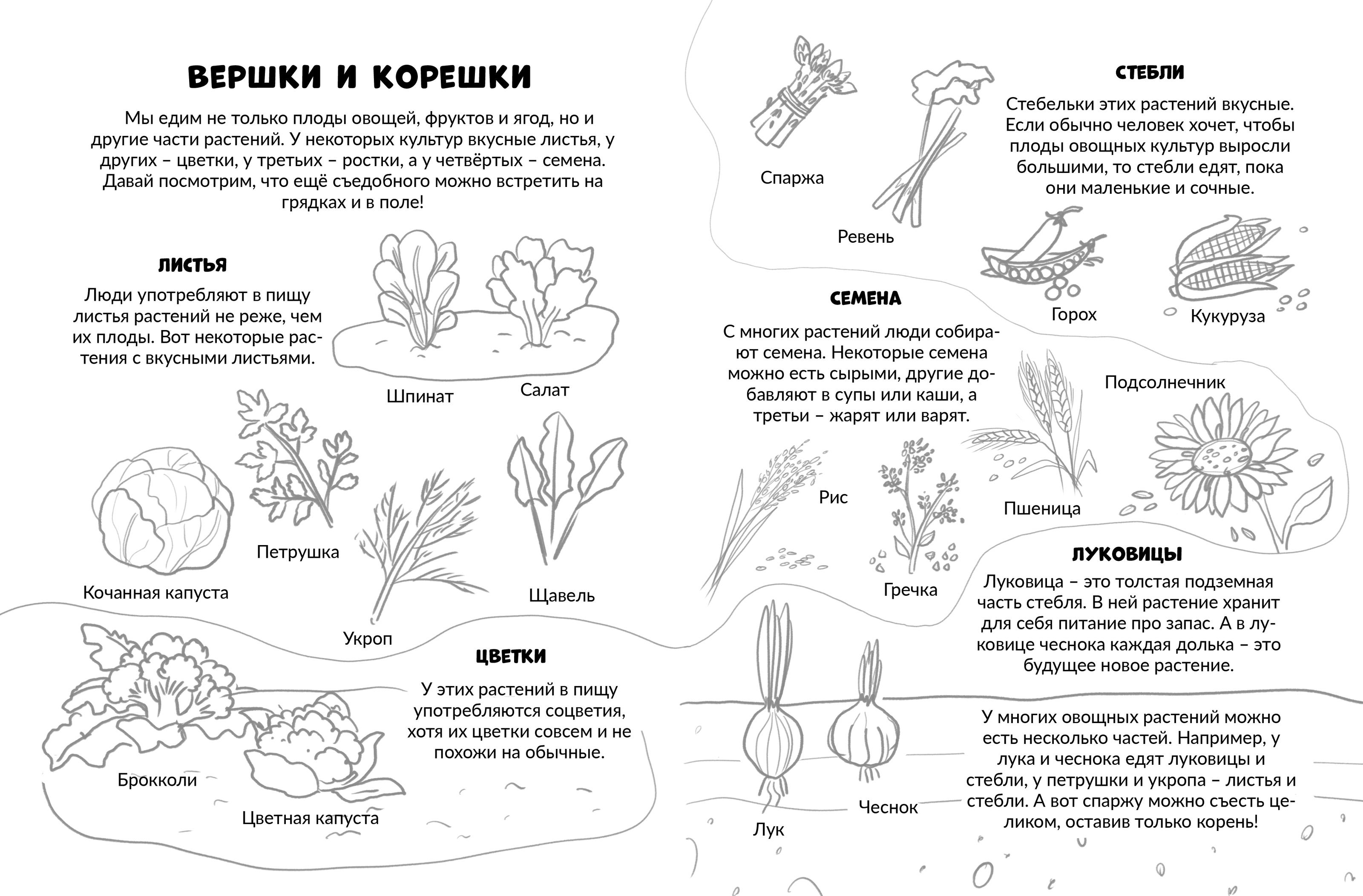 Зачем человек ест? 