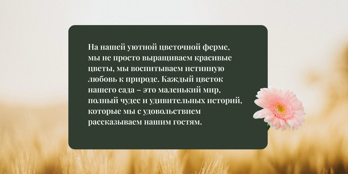 El Flower Farm Баннеры для цветочной фермы — Dprofile