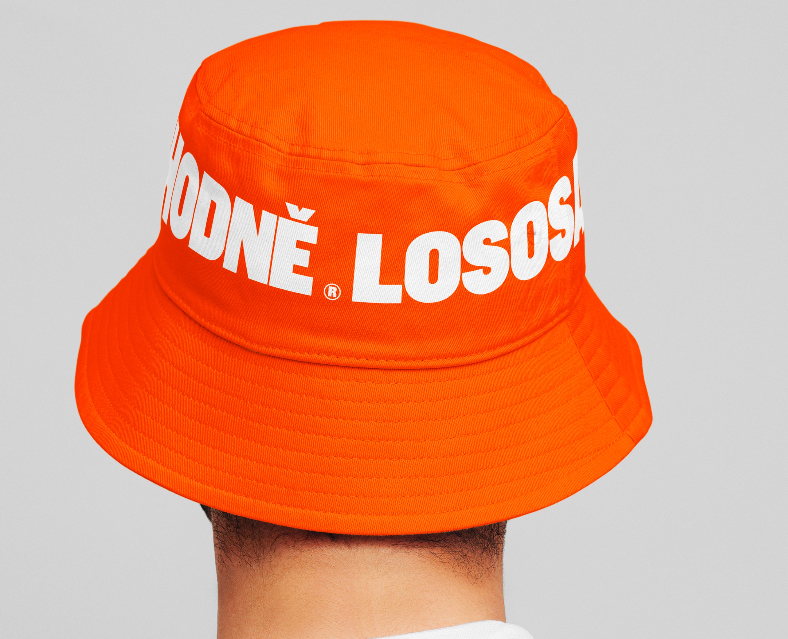 Hodně lososa© — Express identity — Брендинг на Dprofile