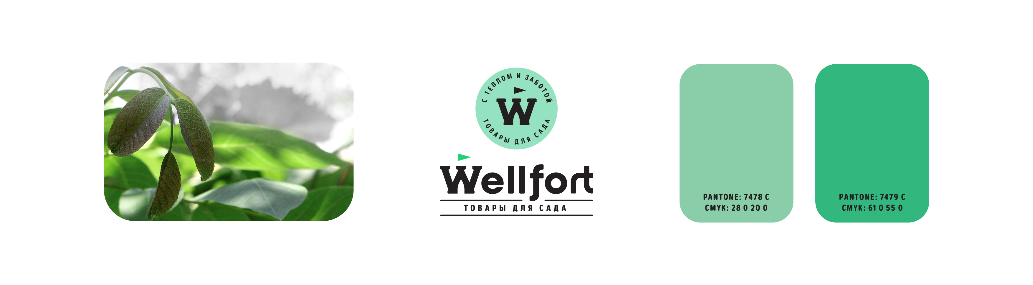 Wellfort товары для кухни