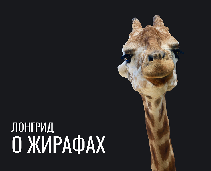 Жираф — Интерфейсы на Dprofile