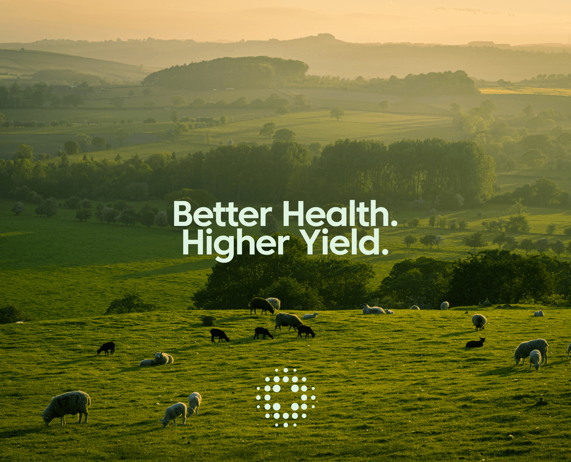 Hyper Farms | Brand identity — Брендинг на Dprofile
