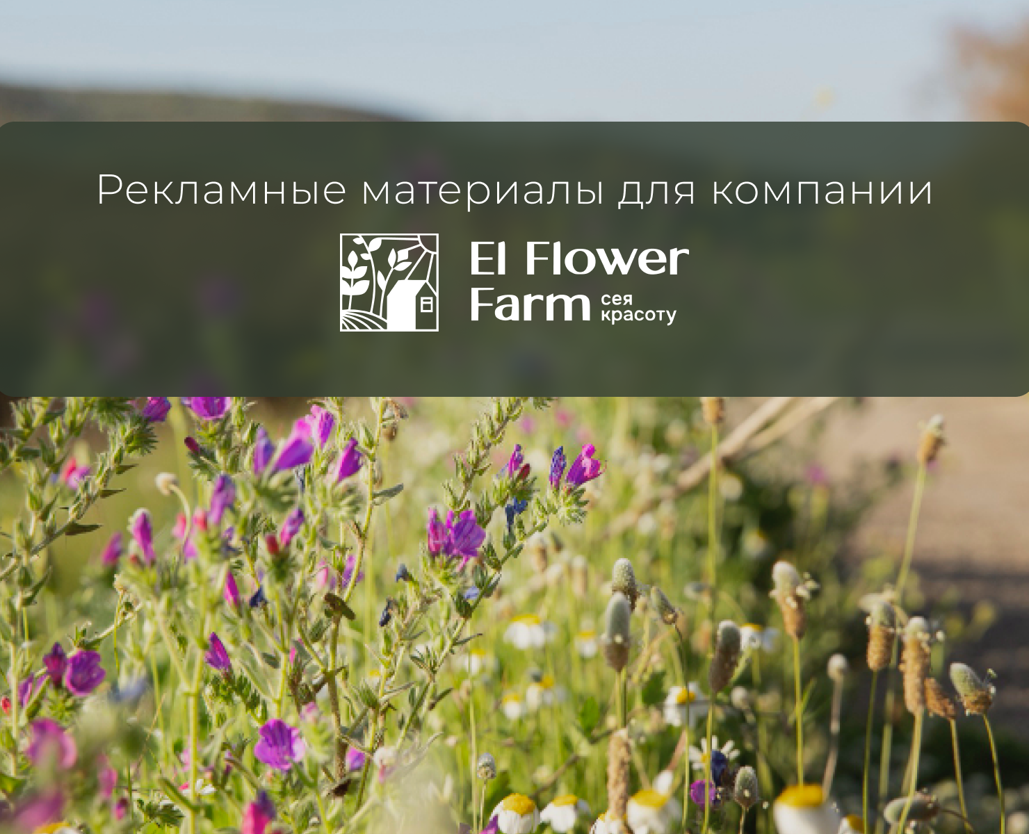 Рекламные материалы для компании — Графика, Маркетинг на Dprofile