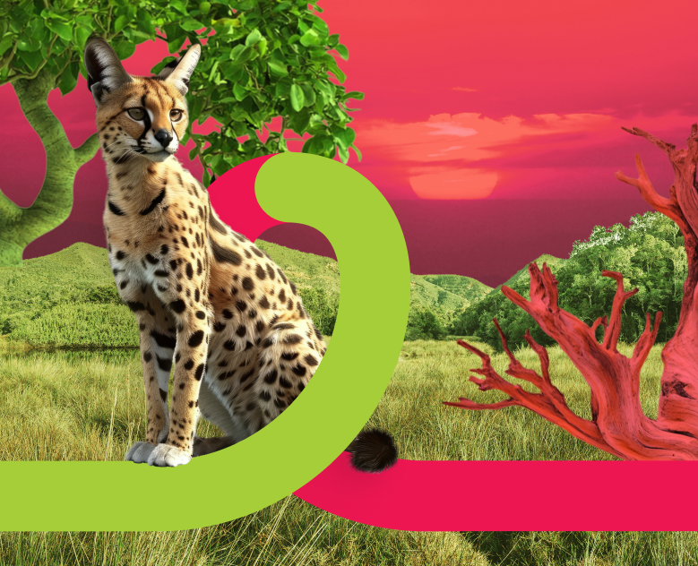 Boxberry. Фотозона с сервалом в зоопарке — 3D, Маркетинг на Dprofile