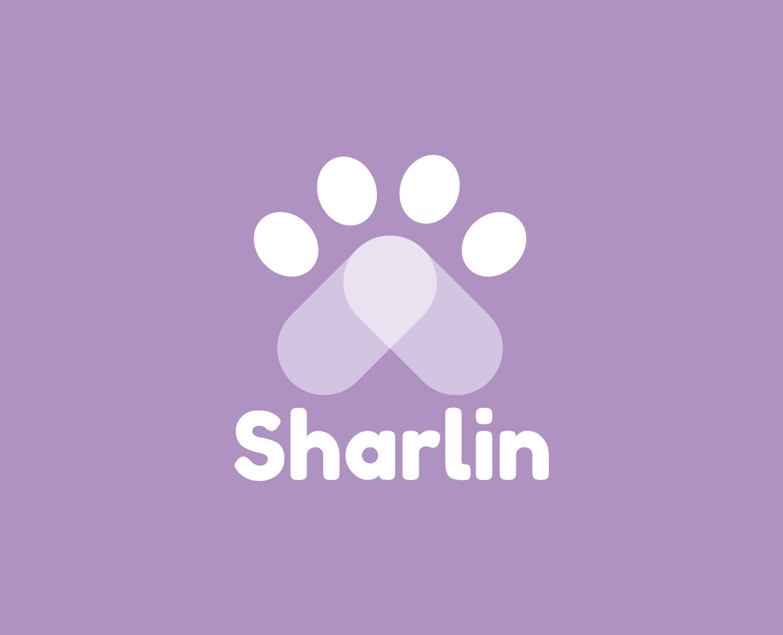 Брендбук Sharlin — Брендинг на Dprofile