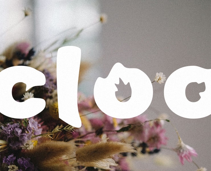 cloo — Брендинг на Dprofile