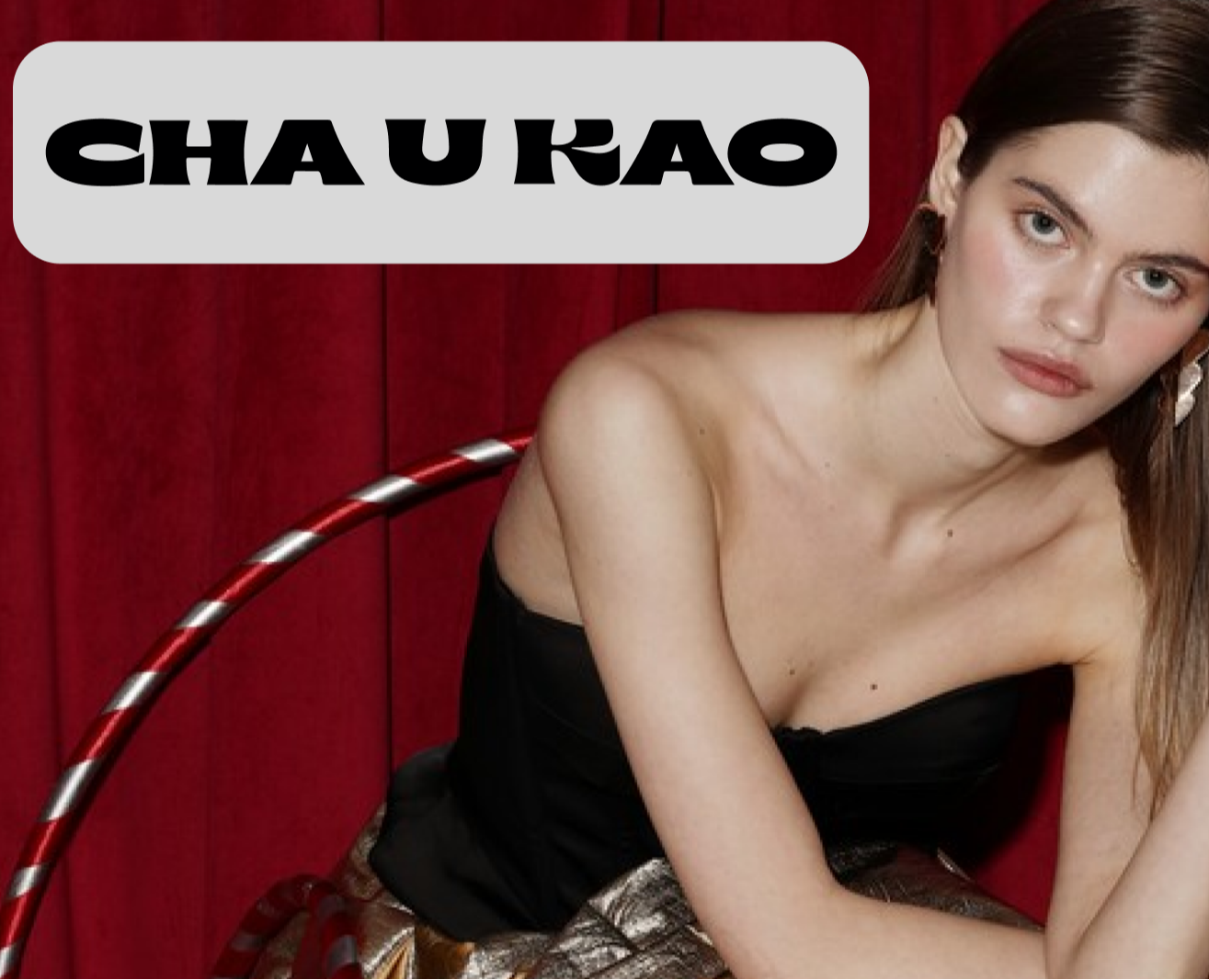 Cha U Kao оформление — Интерфейсы, Графика на Dprofile