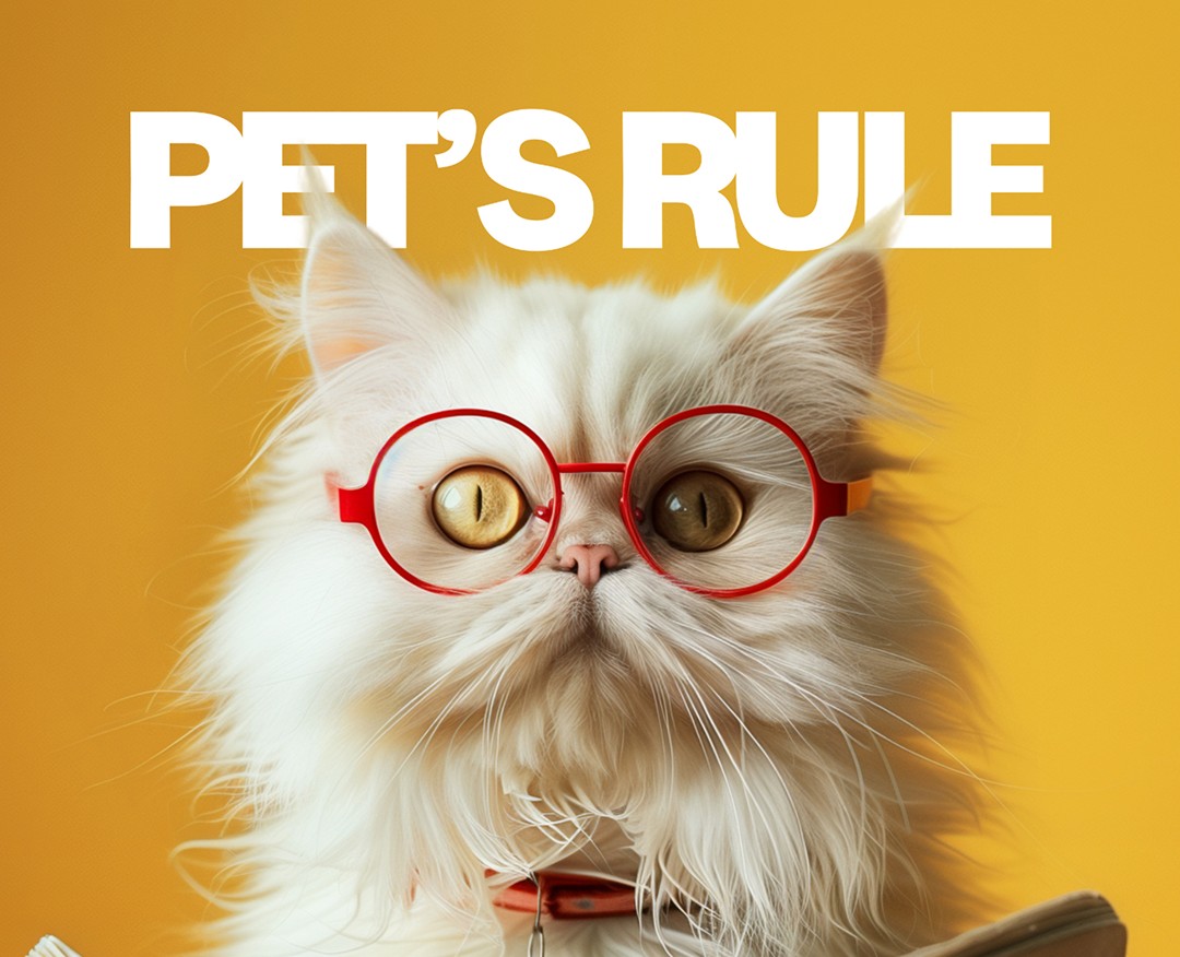 Наполнитель PET'S RULE — Брендинг на Dprofile