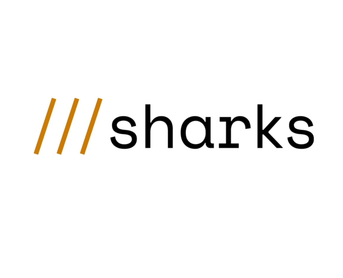 Metasharks. Ребрендинг студии разработки — Брендинг на Dprofile