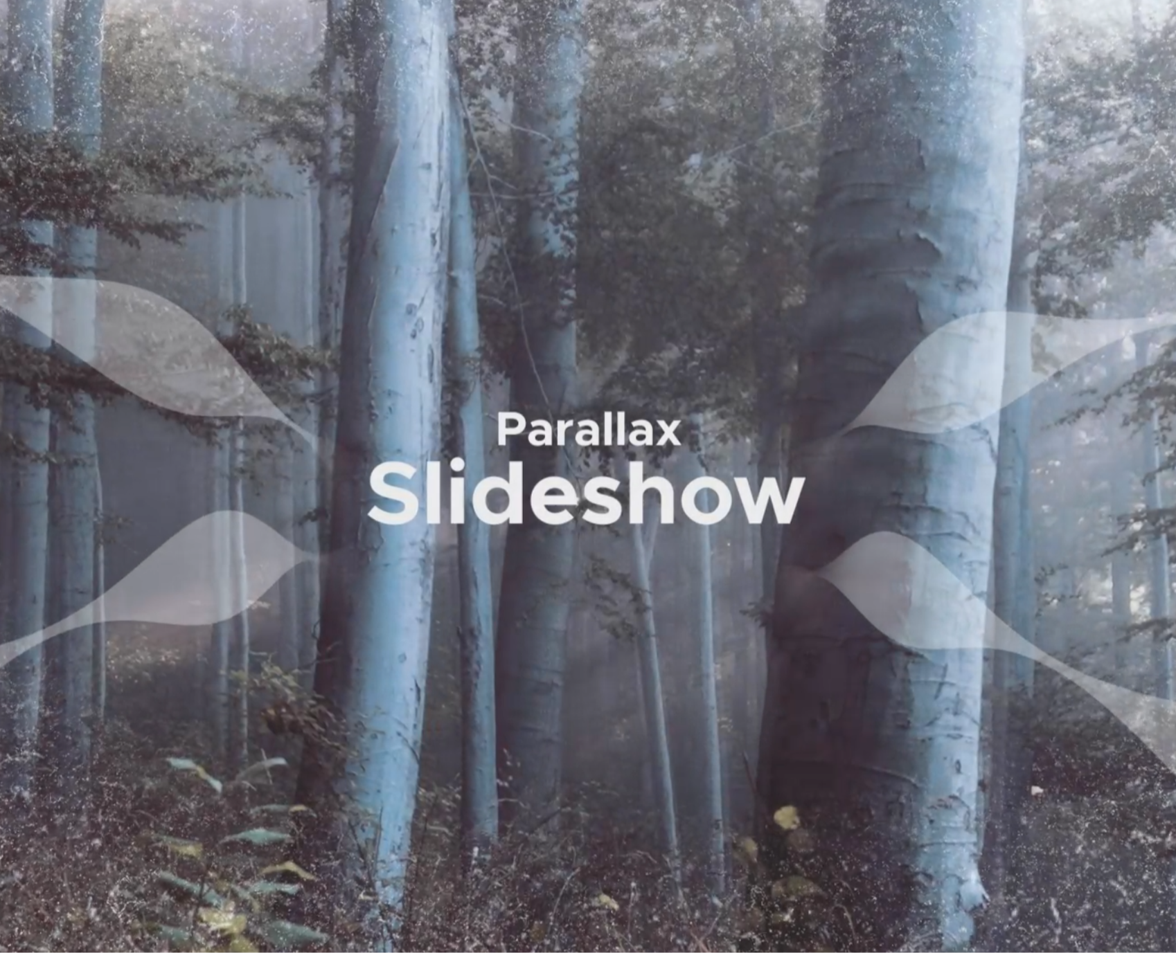 Parallax Slideshow — Графика, Анимация на Dprofile