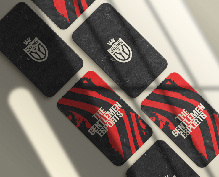 THE GENTLEMEN ESPORTS — Брендинг, Маркетинг на Dprofile