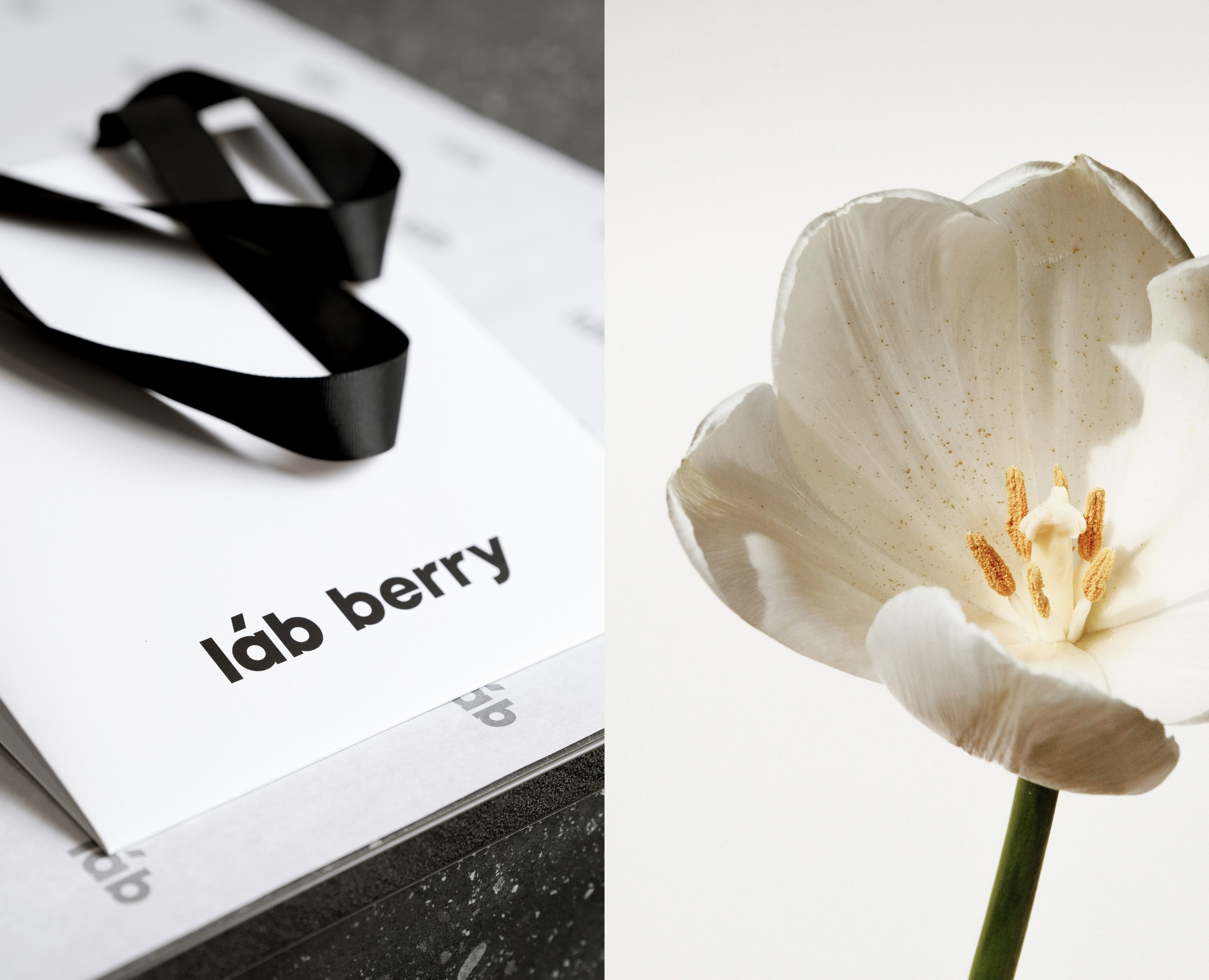 [ láb berry ] // identity — Брендинг на Dprofile